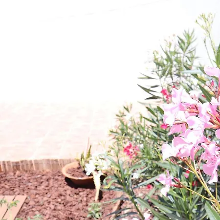 Prázdninový dům Private Salema